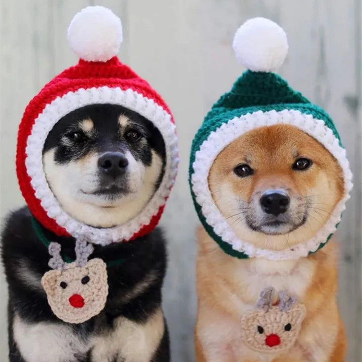 PoochPuff - Stylish Pet Woollen Hat