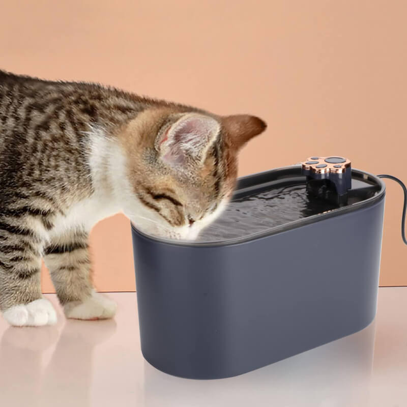PetSpring - Automatic Pet Water LED Fountain
