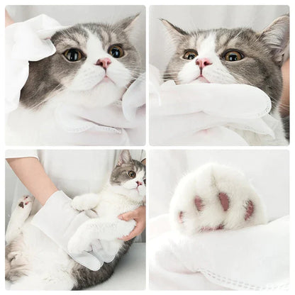 PawWipes - Dry Cleaning Gloves For Pets