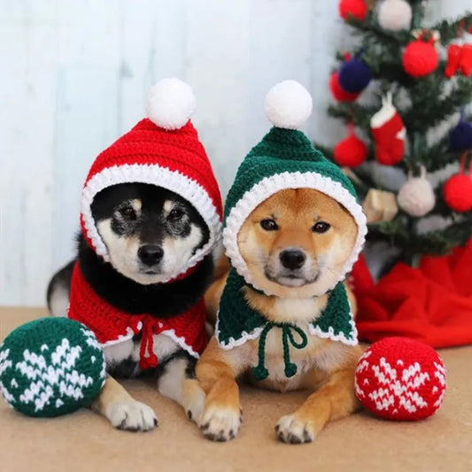 PoochPuff - Stylish Pet Woollen Hat